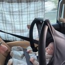 조이하우스 | 조이 아이스핀 360 카시트 실제 사용 후기｜전주베이비하우스 구매 이유