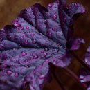 은혜자원 이미지