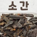 경상독 이미지