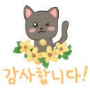 채운파트너스 이미지
