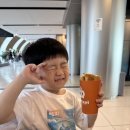 해찬목장 | 첫째랑 둘이 2박 3일 제주도 여행 | 콘스트 호텔 • 협재 해변 • 제주 홀릭 뮤지엄 • 금능해변
