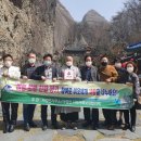 진안1호 이미지