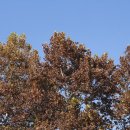 씨유 서평택IC점 | [공지] 서안성IC 평택 신상카페 온숲 (구.카이로스) 호수뷰가 멋진 예쁜카페