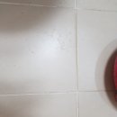 웰빙홈케어 이미지