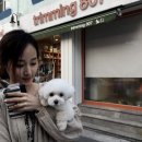 트리밍807 이미지