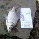 새말저수지 이미지