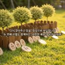 그루몽실 | 강아지무지개다리 두 아이가 그곳에서 다시 만나길 바라는 마음으로