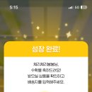 오디너리가든