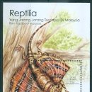 샤로브냐 | 하늘을 날았던 척추동물들