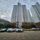 하단동175 이미지