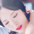 보나쿠 이미지
