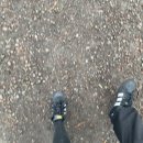 건호목장 이미지