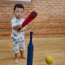 유아체육-야구 이미지