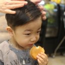 티지투대전 이미지