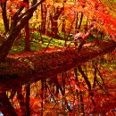 대구 서구문화원 전시회 작품출품(2018.11.19~25) 이미지