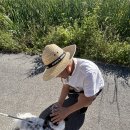 【혈억동 테리어믹스(Terrier Mix)】 「매력적인 수염을 가진 테리어 믹스 만났음」 이미지