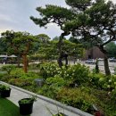 까막셀프주유소 | 오산 평택시 브런치 데이트 맛집 대형카페 추천 메르오르는 분수 전망 감성 커피숍