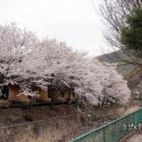 양주송천캠핑장 이미지