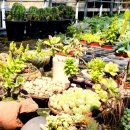 해찬솔농장 이미지