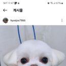 때빼고광나개