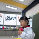 리더 태권도장 이미지