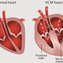 지중해동물병원 이미지