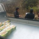 금포농장 이미지