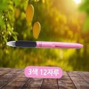 모닝글로리 이미지