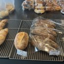 브레드 꽁뜨 이미지