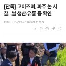 [단독] 고이즈미, 파주 논 시찰...쌀 생산 확인 이미지