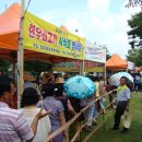 충남 연기군 조치원 복숭아축제 이미지