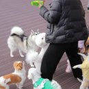 담뿍사회적협동조합