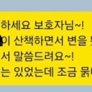 매일행복하개 이미지