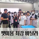 미래펫미용 이미지