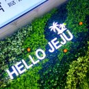 (주)칠성렌트카 이미지