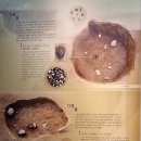 탑평리 갓바위마애불 이미지