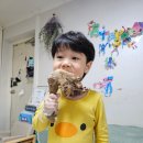 장모님토종닭 이미지