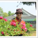 나이 8십에 방송통신대 &#39;국문학과&#39;를 졸업을 하다니..... 이미지