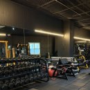 밤새 헬스장 이미지