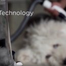 Idogcare 네이버블로그