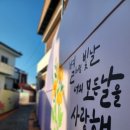 이다숲 이미지