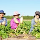 이상근농장 이미지