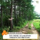 정감이마을 이미지