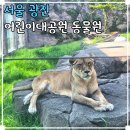 구성초교후문-타이어마을 | 어린이대공원 동물원 건대 데이트 코스 놀거리