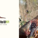 경도농장 이미지