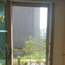 백조와 믿음 이미지