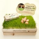 보리맘 이미지