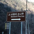 충북의 알프스 구병산 겨울 산행 및 암벽 주의 이미지