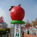 거창사과