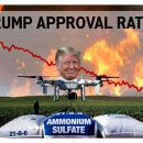 양강농장 이미지